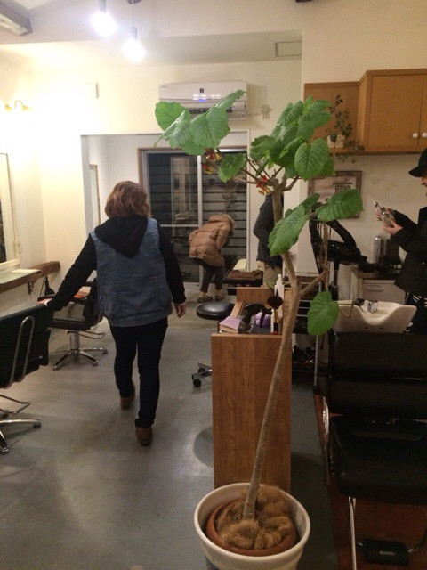 {0C3E7D29-6238-4F66-996F-5071CA72ED39:01}