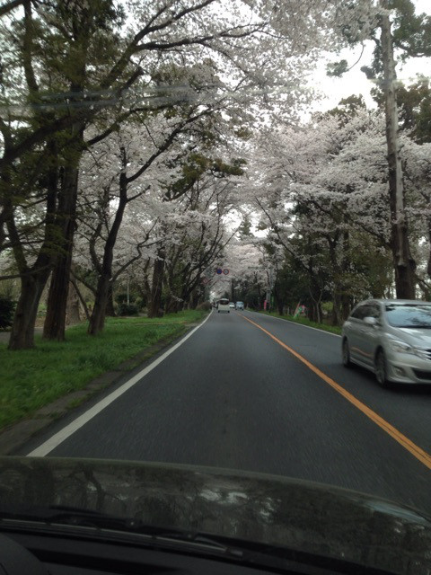 {FEDD9B80-4242-4217-9140-DFA742B70C94:01}