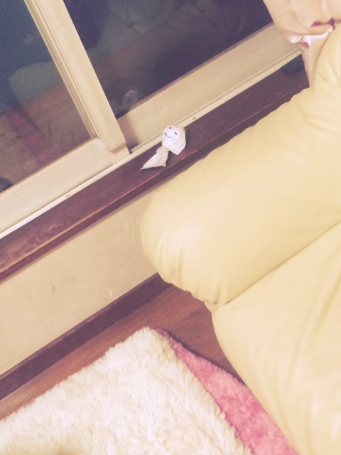 {13AF6569-8C99-48C2-8297-F93ACAE374BE}