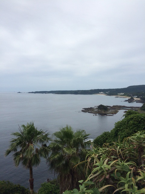 {81C52350-BF86-41E5-904F-823091FAE6B6:01}