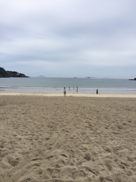 {C862D8C0-002A-4184-9D03-BBC5403ACAC0:01}