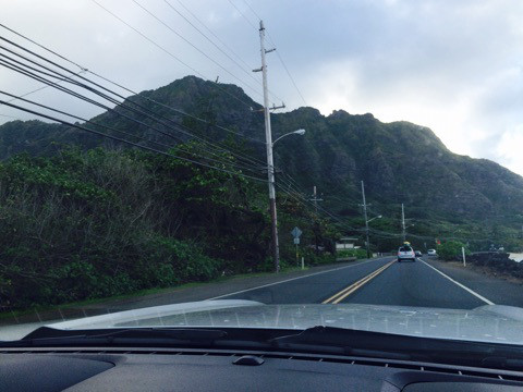 {CC655653-5BB1-44B1-B48D-AE6E61A4D0EC}