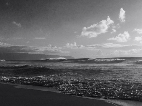 {9F155101-F9AA-4F52-9480-3AAEAD21F123}