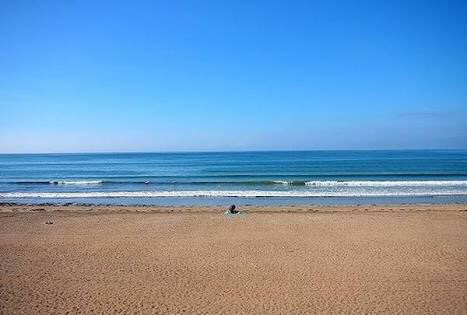 {66F6B5F8-8657-499D-BBEF-F1CB3EFD2089}